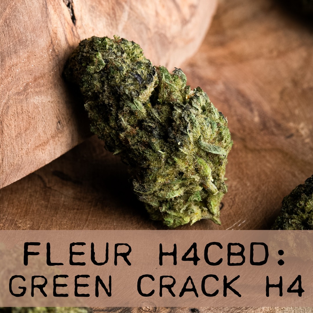 Green Crack - fleur renforcée en cannabinoïdes !